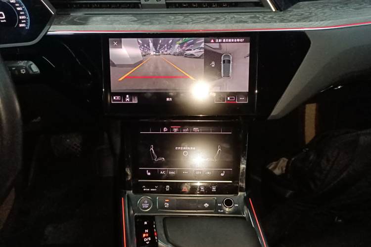 Audi e-tron (Imported) 2020 car image #17