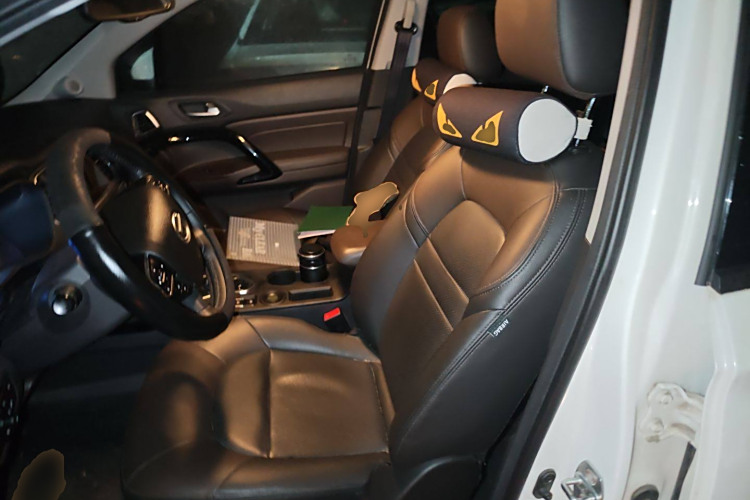 GAC Qizhi PHEV 2019 car image #17