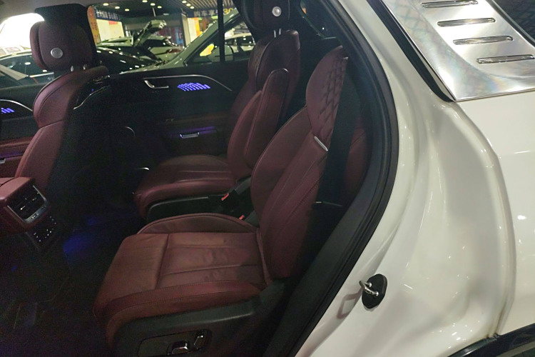 HongQi E-HS9 2021 immagine di auto #17