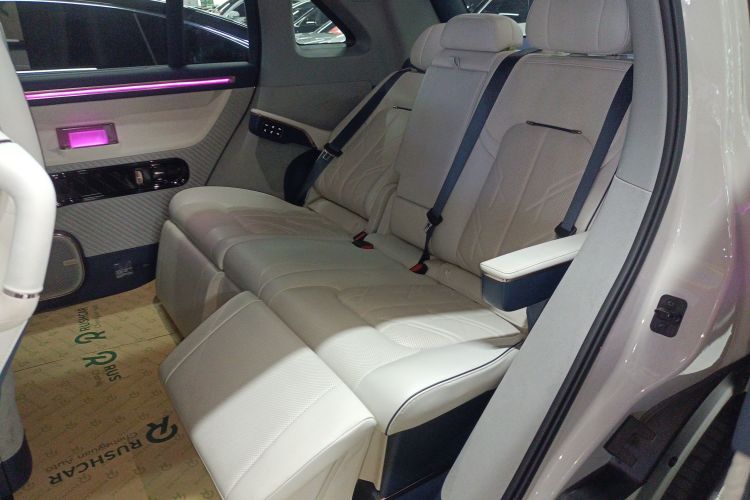 极氪 极氪MIX 2024 汽车图片 #17