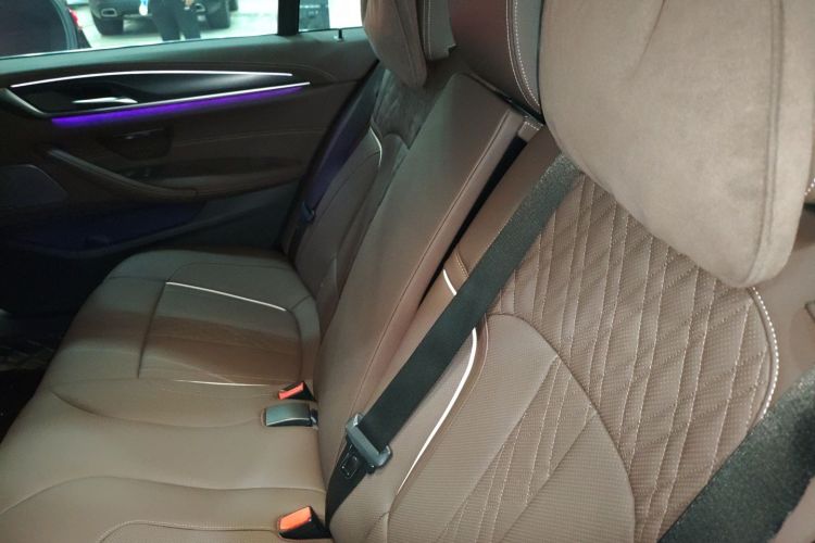 BMW 5 Series New Energy 2021 car image #17