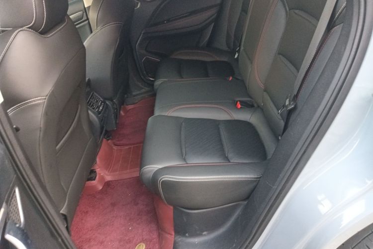 GEELY Tugella S 2022 car image #17