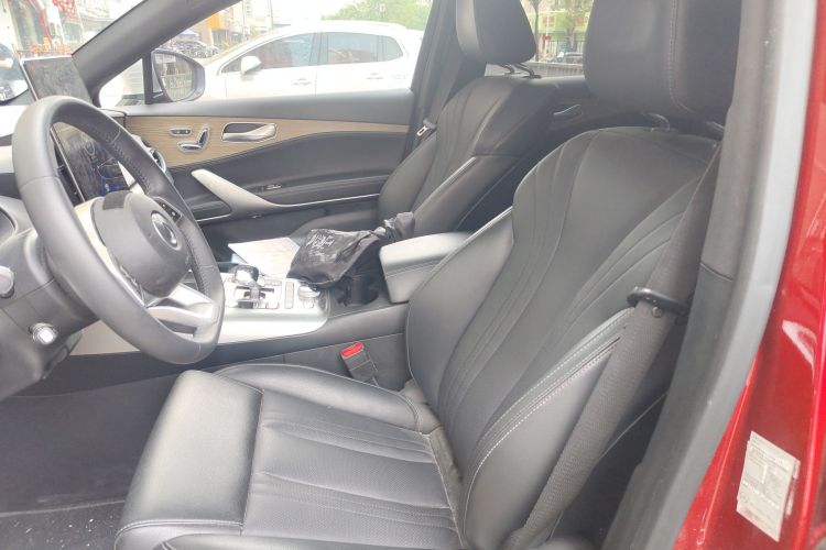 Denza X 2021 car image #17