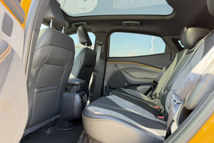 Ford Mustang Mach-E 2023 car image #17