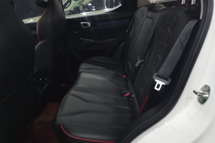 Haval Dargo 2023 car image #17