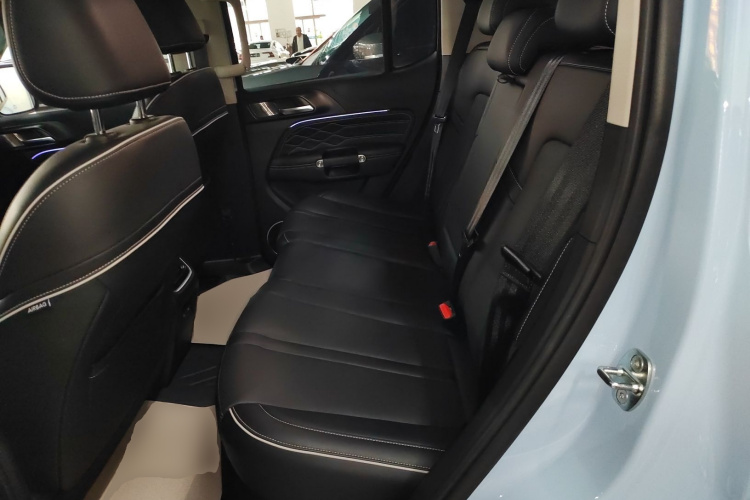 Tank 300 New Energy 2024 imagem de carro #17