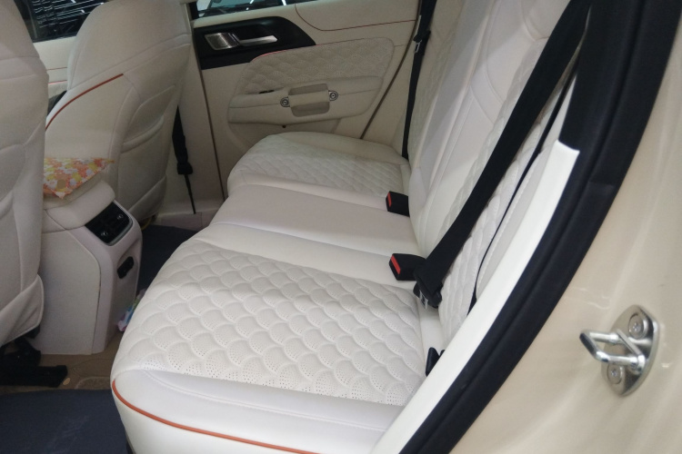 Tank 300 New Energy 2025 #17 Tank 300 New Energy 2025 car image #17