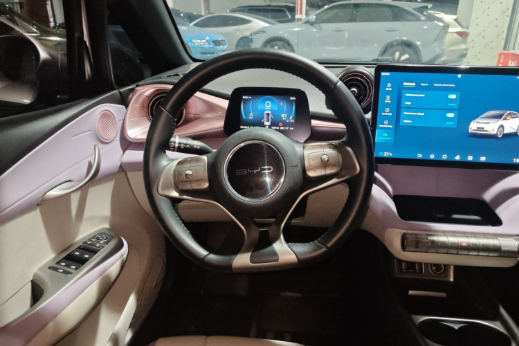 比亚迪 海豚 2022 汽车图片 #17