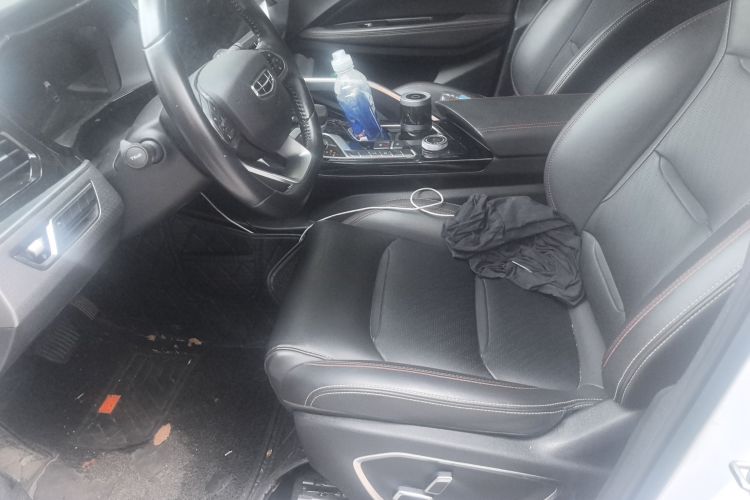 GEELY Tugella S 2021 car image #17