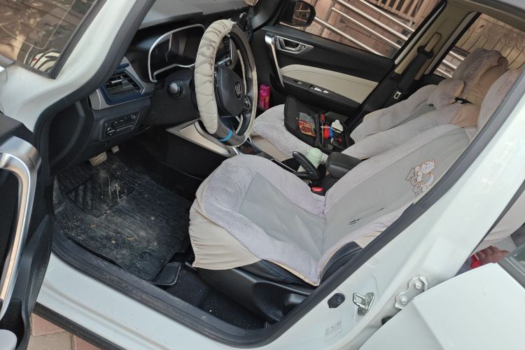 睿蓝汽车 枫叶30X 2021 汽车图片 #17