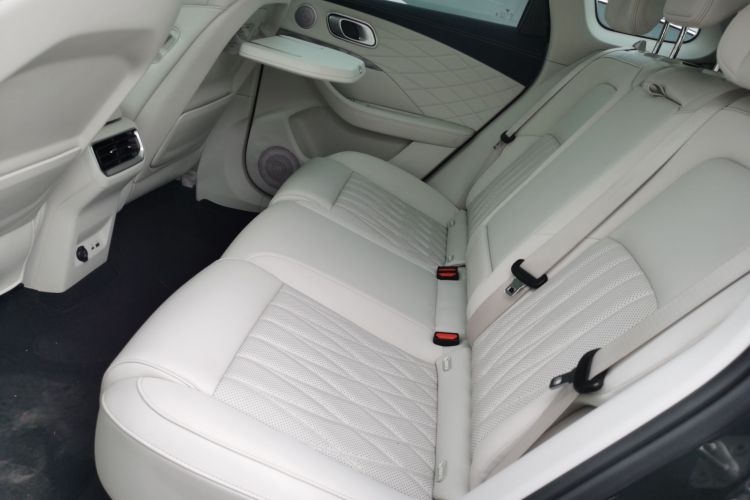 Neta L 2024 imagen de coche #17