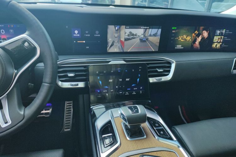 HongQi E-HS9 2022 #17 HongQi E-HS9 2022 car image #17