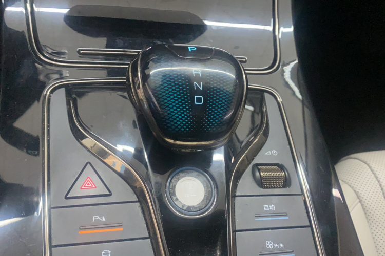 BYD e9 2021 car image #17