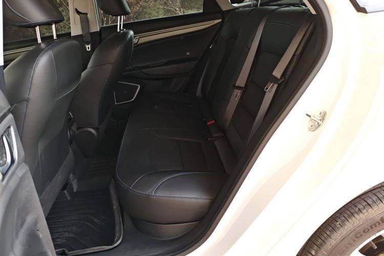 Livan Maple 60S 2023 imagen de coche #17