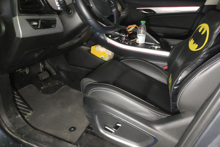 GEELY Tugella New Energy 2020 car image #17