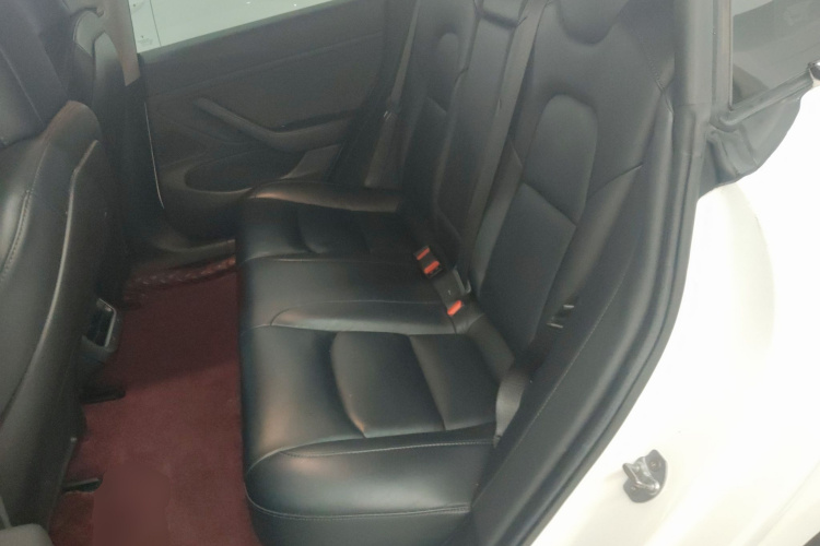 特斯拉 Model 3(进口) 2019 汽车图片 #17