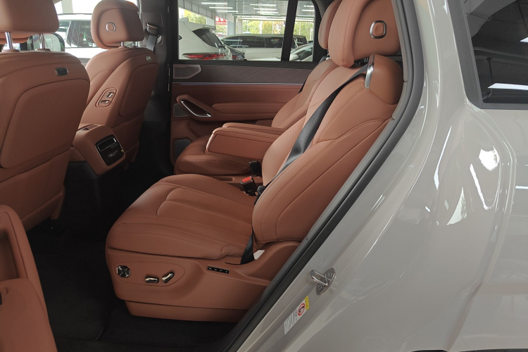 Denza N9 2025 car image #17