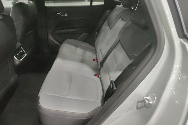 Ford Equator Sport New Energy 2024 car image #17