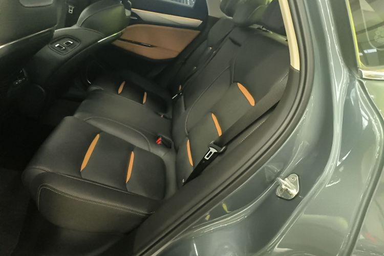 GEELY Tugella New Energy 2019 car image #17