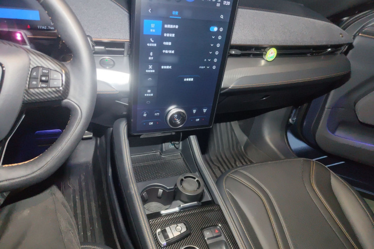 Ford Mustang Mach-E 2022 car image #17