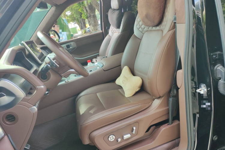 Tank 700 New Energy 2024 image de voiture #17