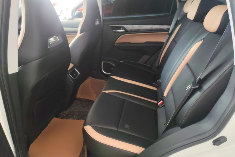 GEELY OkavangoPRO 2024 car image #17