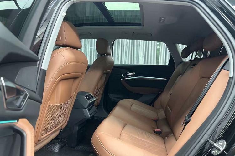 Audi e-tron (Imported) 2020 car image #17