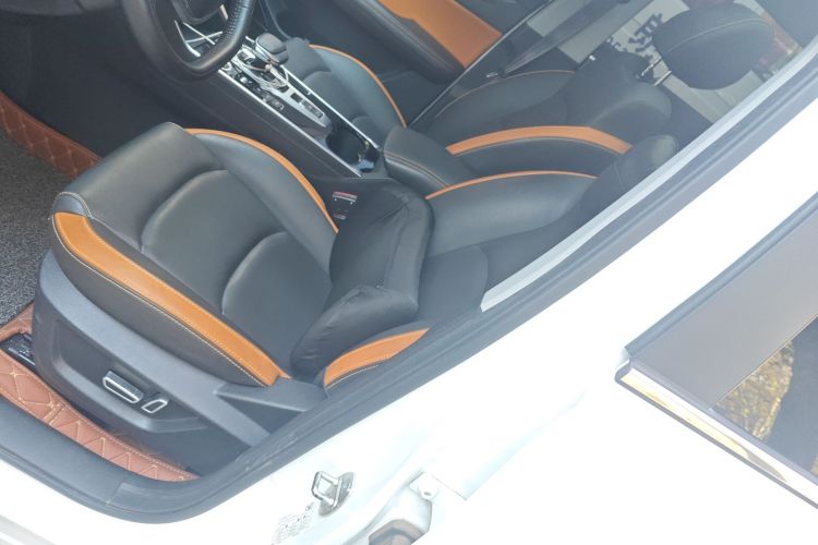 Showjet Pro 2021 imagen de coche #17