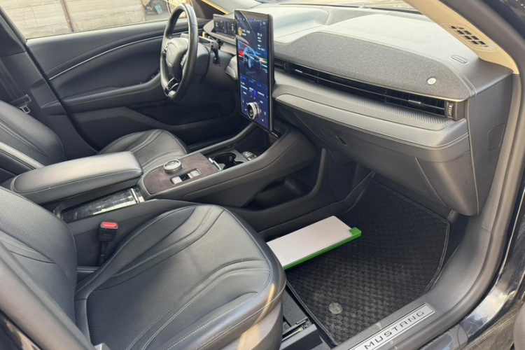 Ford Mustang Mach-E 2023 #17 Ford Mustang Mach-E 2023 car image #17