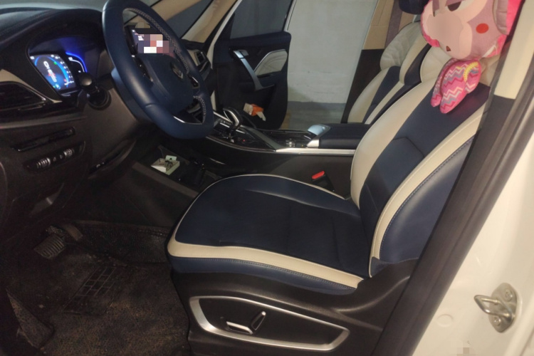 睿蓝汽车 枫叶80v PRO 2023 汽车图片 #17