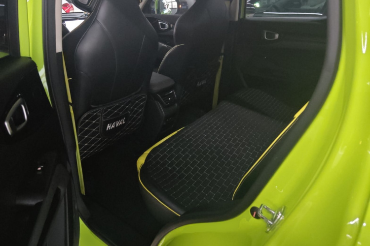 Haval Dargo 2022 car image #17