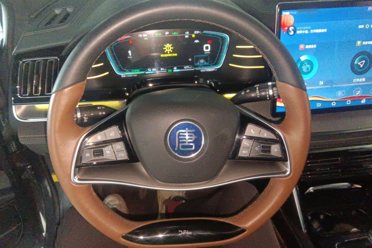 BYD Tang New Energy 2021 immagine di auto #17