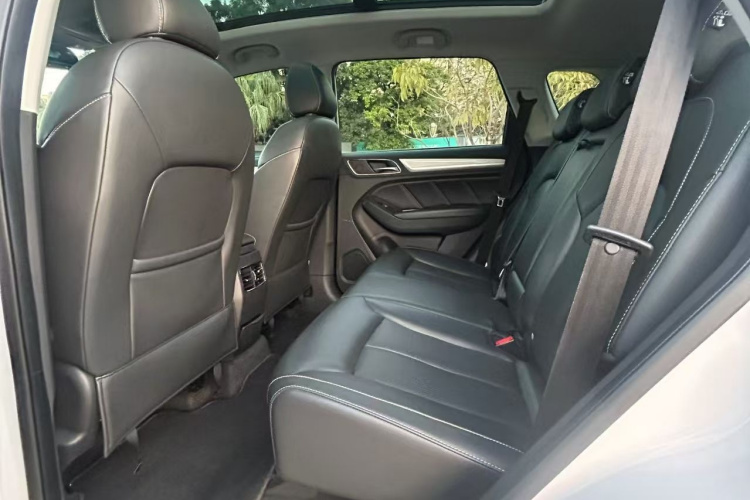 Roewe RX5 New Energy 2018 изображение автомобиля #17