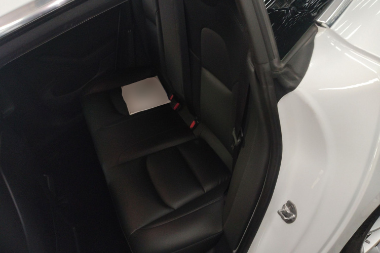 Tesla Model 3 2020 #17 Tesla Model 3 2020 صورة سيارة #17