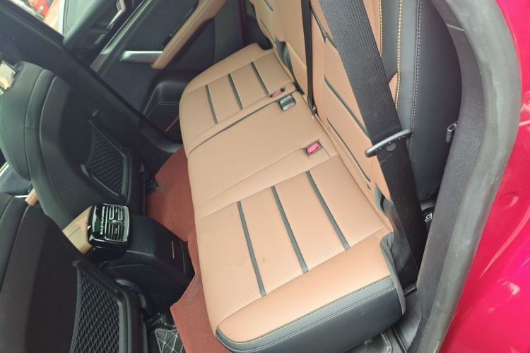 BYD Tang New Energy 2021 car image #17