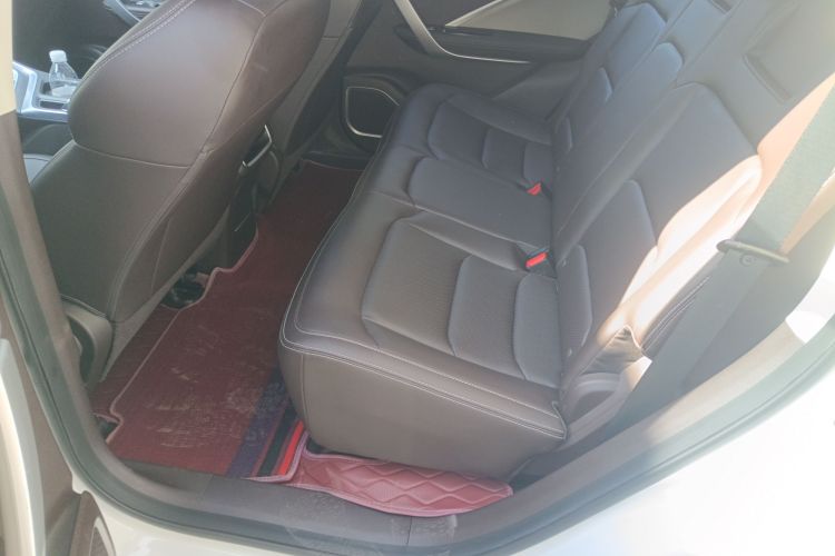 睿蓝汽车 枫叶80v 2021 汽车图片 #17