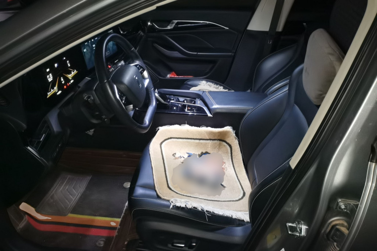 2022 #17 2022 car image #17