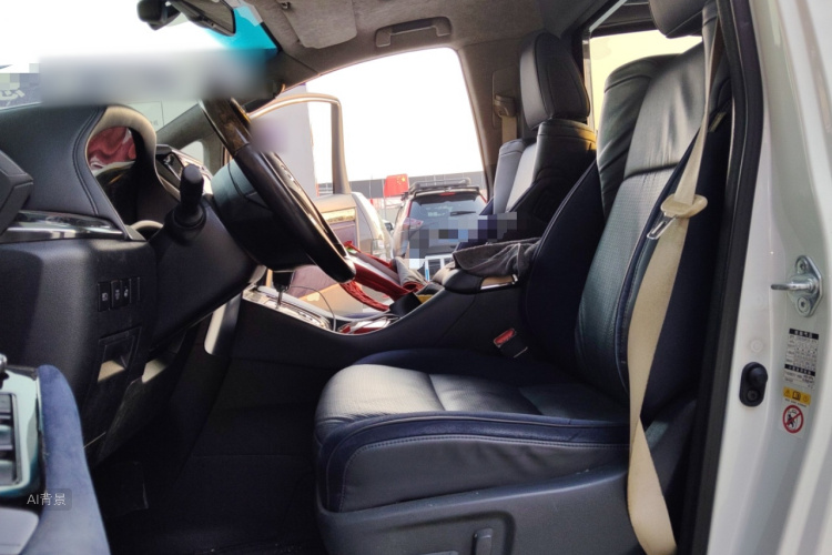 Toyota Alphard 2019 image de voiture #17