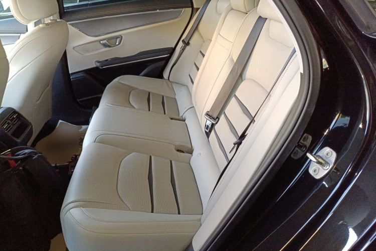 BYD e9 2021 car image #17