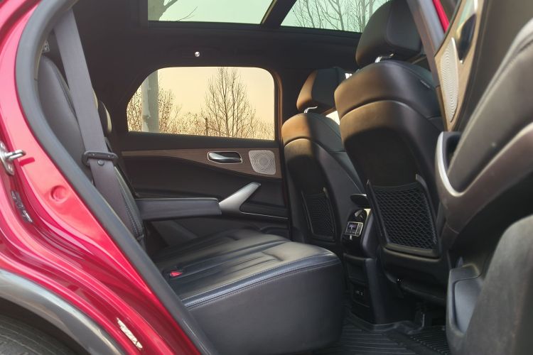 Denza X 2020 #17 Denza X 2020 car image #17