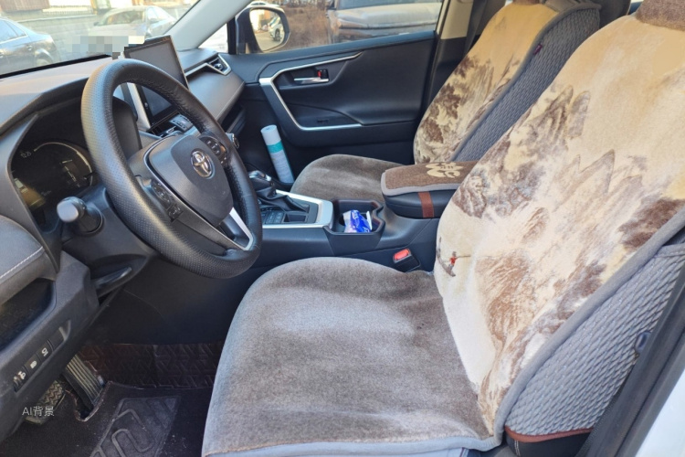 丰田 RAV4荣放 2021 汽车图片 #17