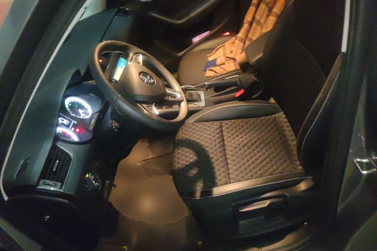 Skoda Octavia 2019 car image #17