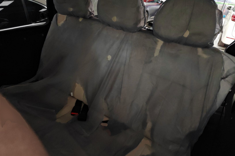 Forthing Lingzhi 2024 immagine di auto #17