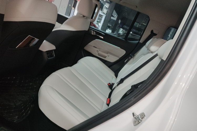 Tank 300 New Energy 2024 car image #17