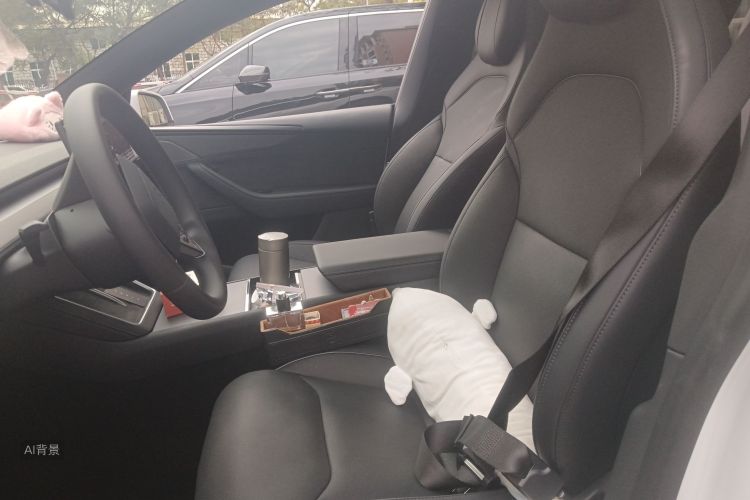 特斯拉 Model Y L 2025 汽车图片 #17