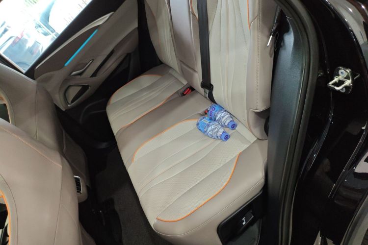 BYD Song Pro New Energy 2024 car image #17