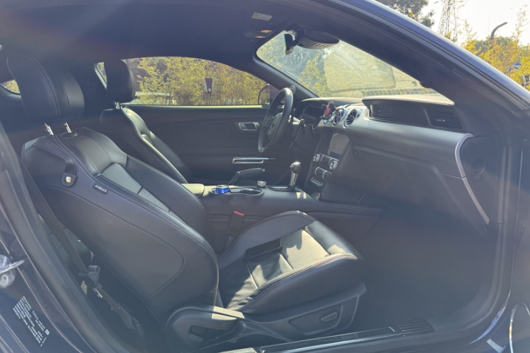 Ford Mustang 2020 car image #17