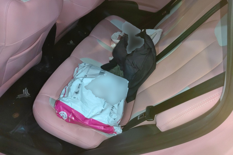 Neta V 2022 #17 Neta V 2022 изображение автомобиля #17