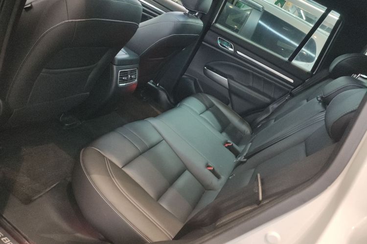 GAC Trumpchi GS8 2021 #17 GAC Trumpchi GS8 2021 car image #17