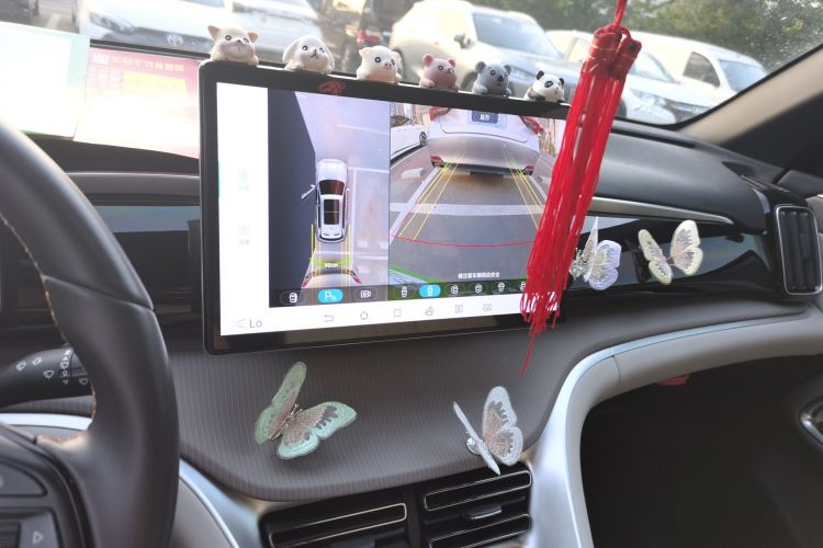 BYD Song Pro New Energy 2024 car image #17